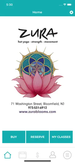 Game screenshot Zura Blooms mod apk