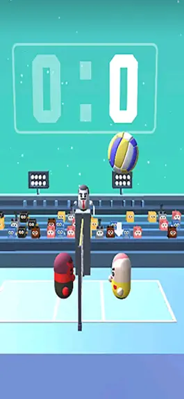 Game screenshot Amazing VolleyBall 3D apk