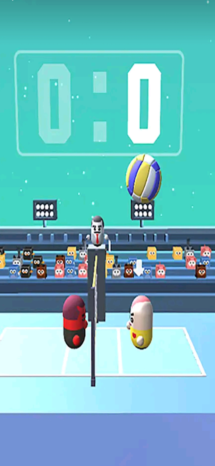 Amazing VolleyBall 3D