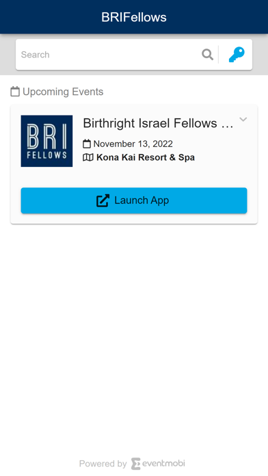 BRIFellows Screenshot