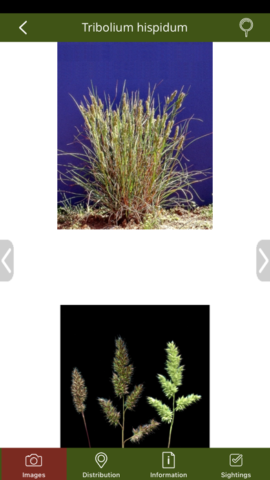 GrassPro Screenshot