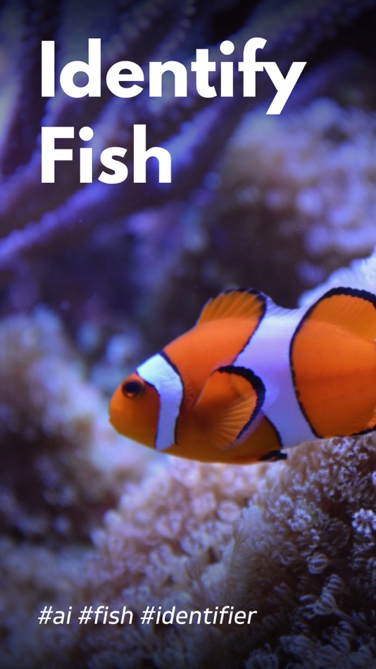 #1. Fish Identifier: ID Scanner (iOS) 由: Arda Sen