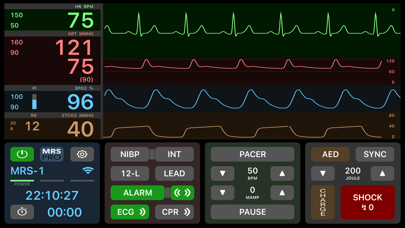 Medical Rescue Sim Pro Screenshot