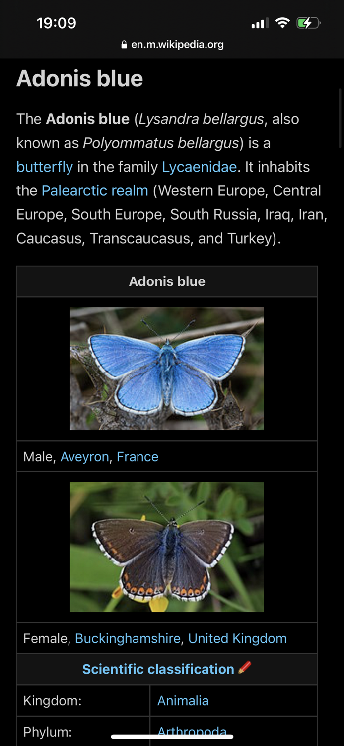Butterfly Identifier Moth ID