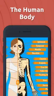 anatomix - human body systems iphone screenshot 1