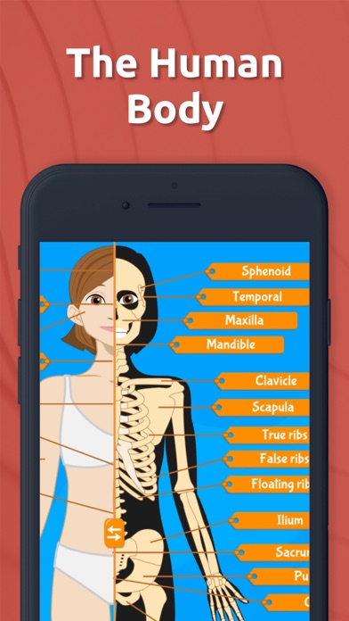 Anatomix - Human Body Systems Screenshot