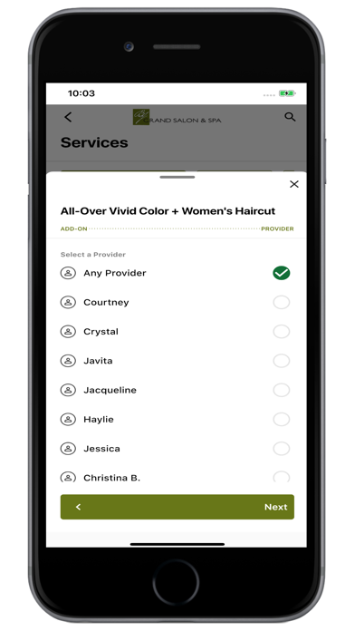 BJ Grand Salon Screenshot