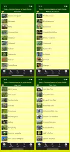 Southern Florida Trees screenshot #8 for iPhone
