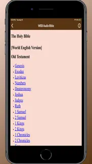 world english bible web audio iphone screenshot 3