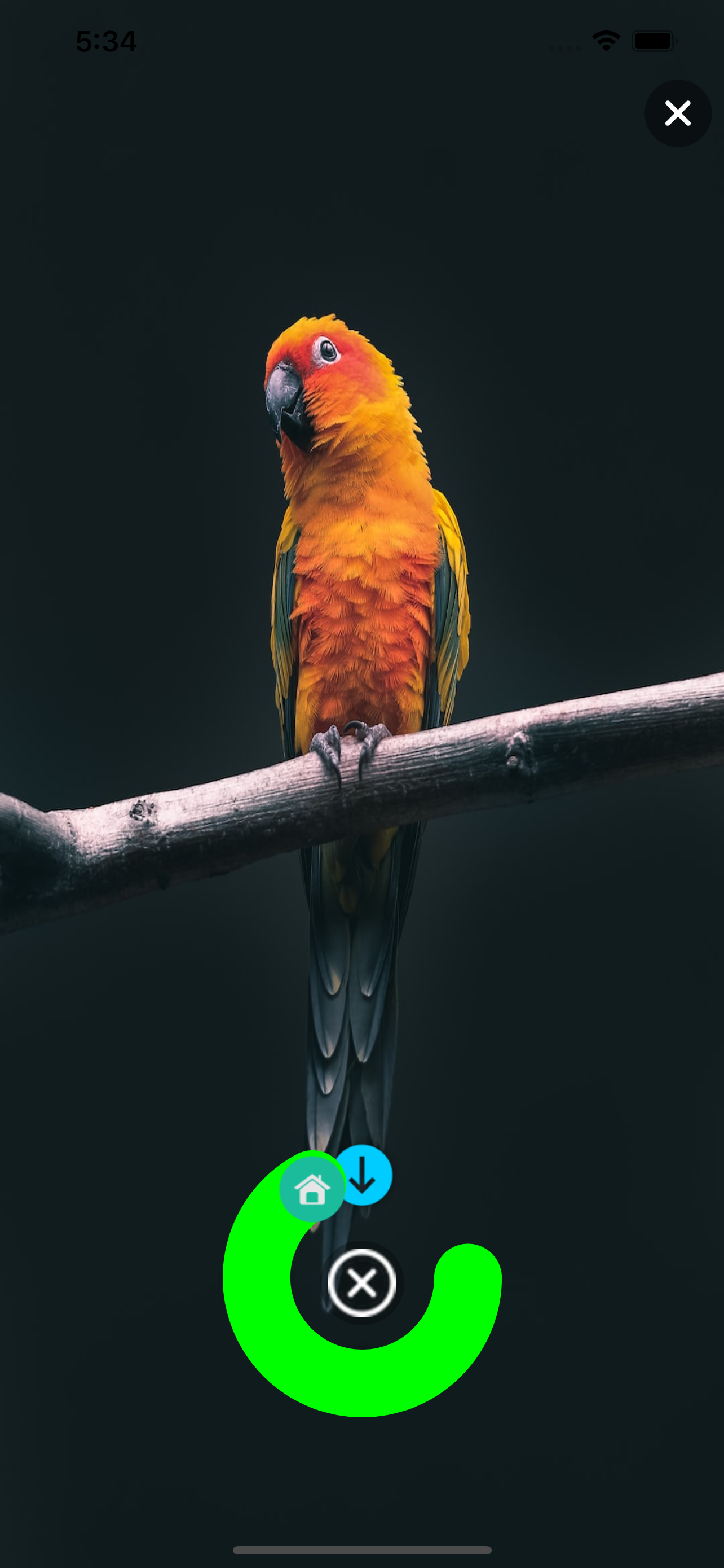 iWallpaper - Trending HD image