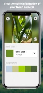 Loomy: Live Color Picker screenshot #3 for iPhone