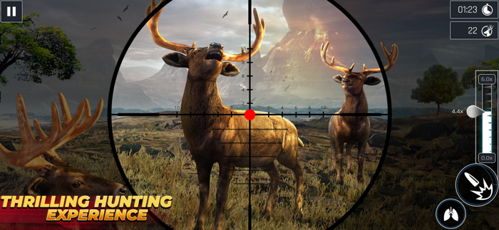 Animal Hunting Classic Games
