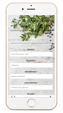 Game screenshot Dietstories hack