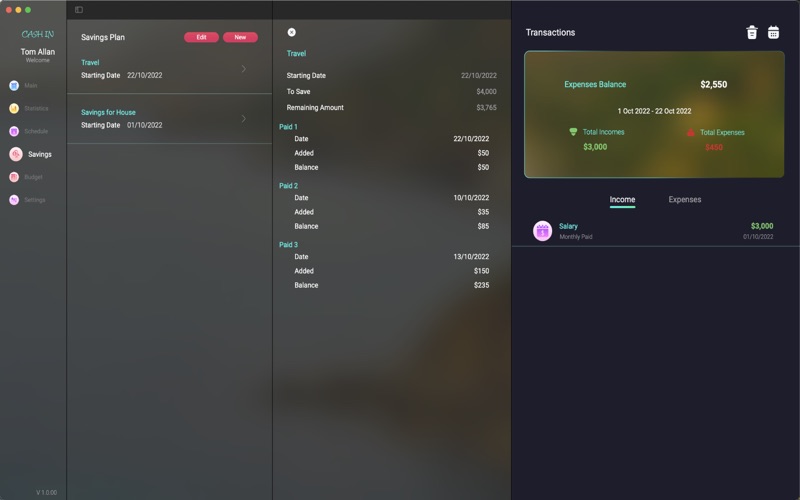 CashIn Financial Budget Screenshot