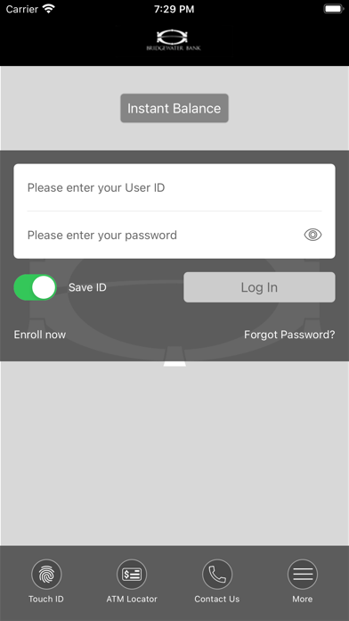 Bridgewater Bank Screenshot