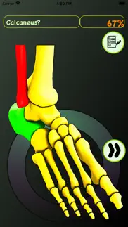 foot bones: speed anatomy quiz iphone screenshot 1