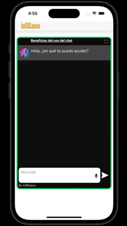 intREasso screenshot-5