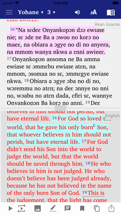 Akan English Ewe Screenshot