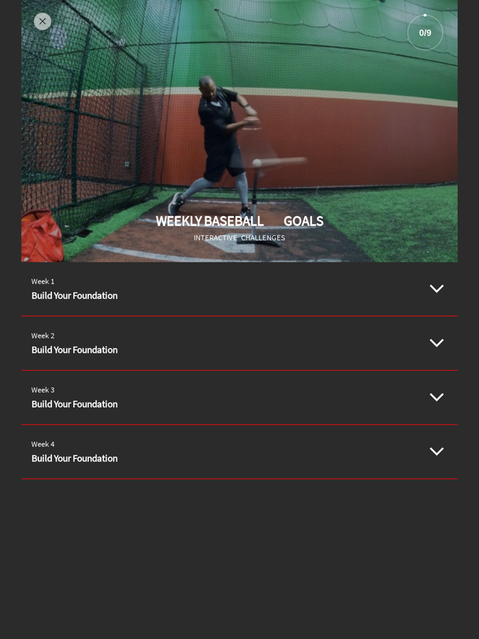 BACK 2 BASICS BASEBALL