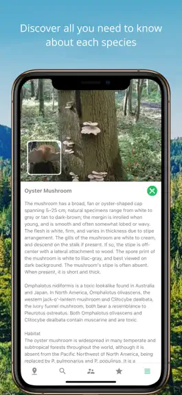 Game screenshot Mushroom Identificator apk