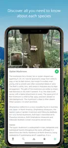 Mushroom Identificator screenshot #2 for iPhone