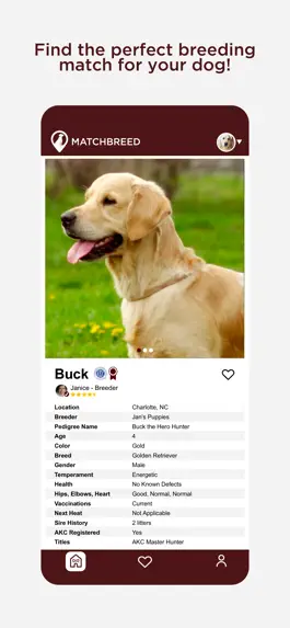 Game screenshot MatchBreed mod apk