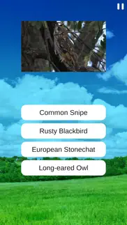 birds quiz and learn iphone screenshot 4
