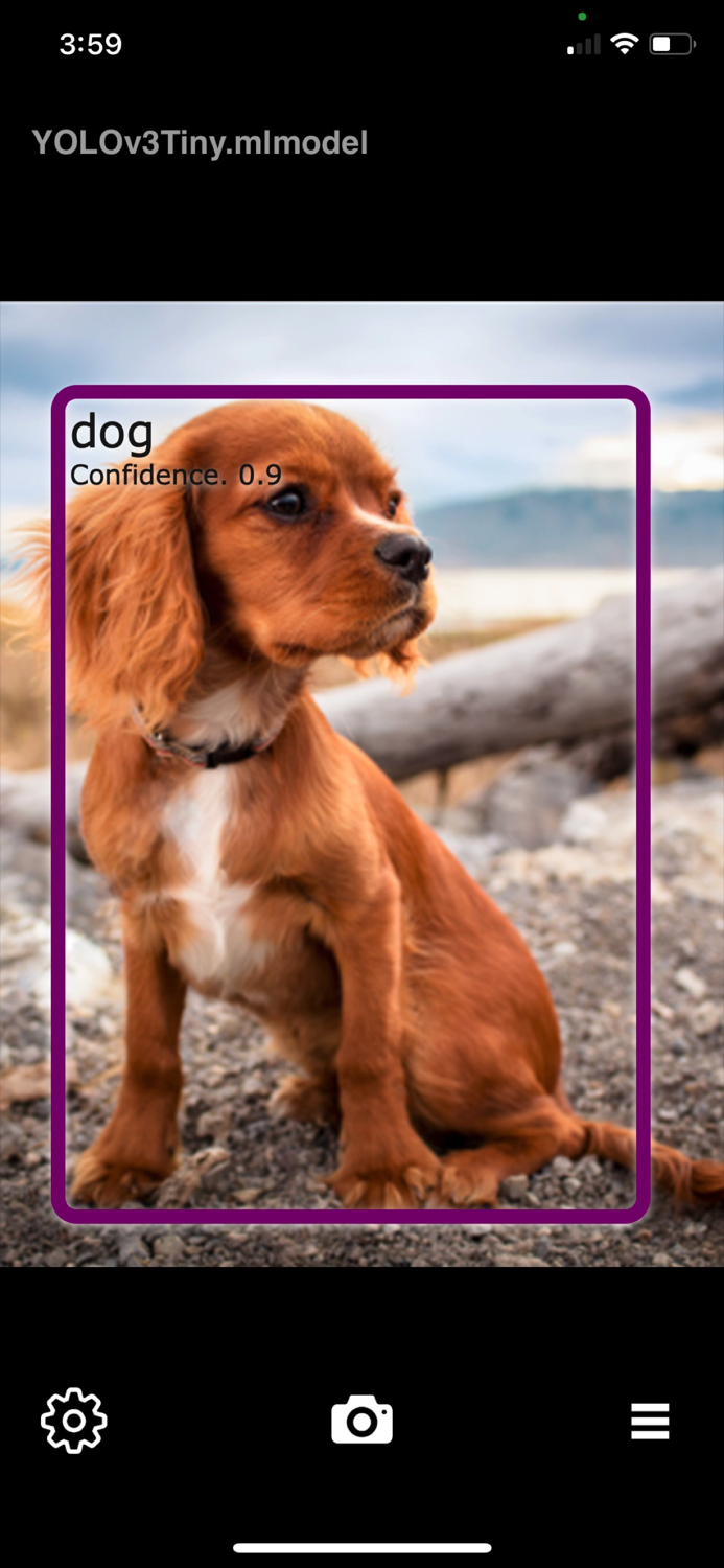 Object Detection Cam