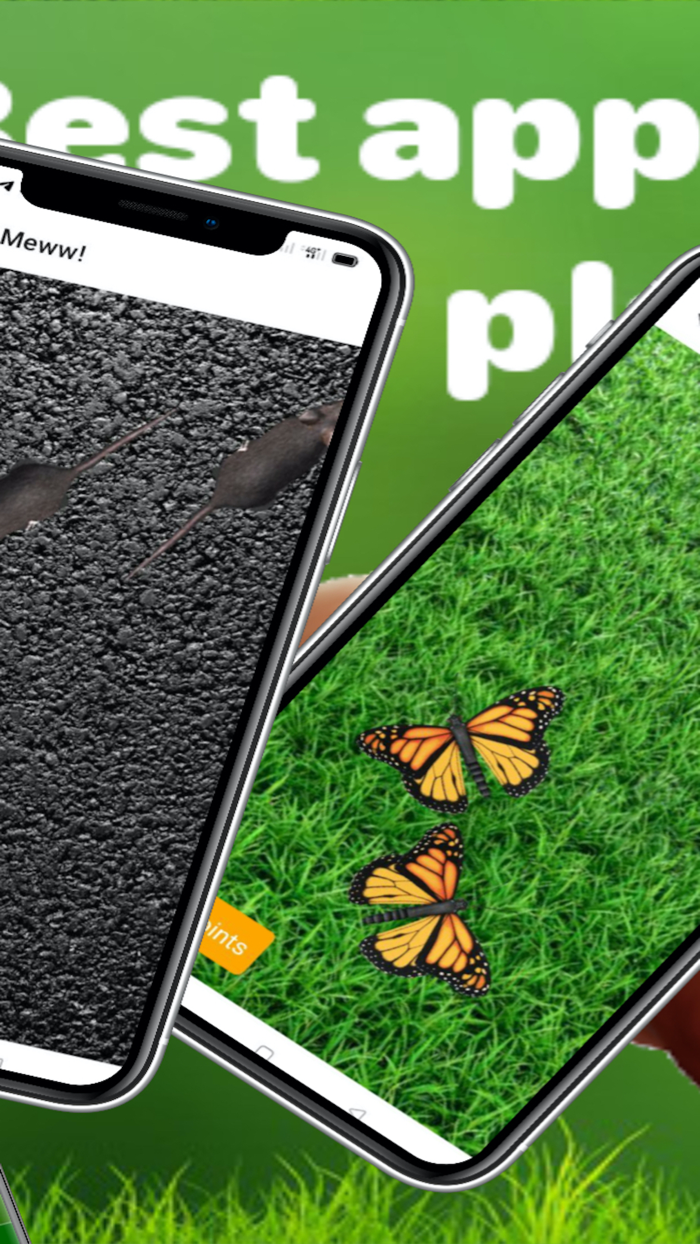 Giogattolo - Cat Toy