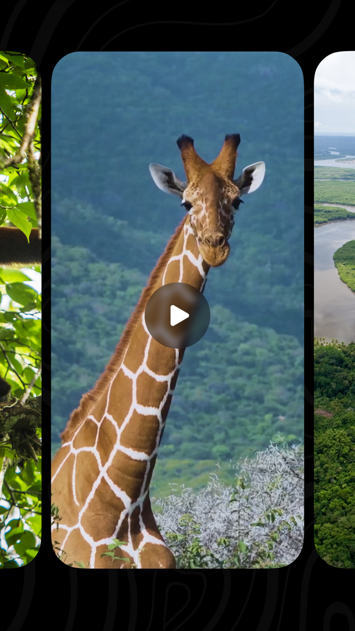 MyWorld Reward your actions