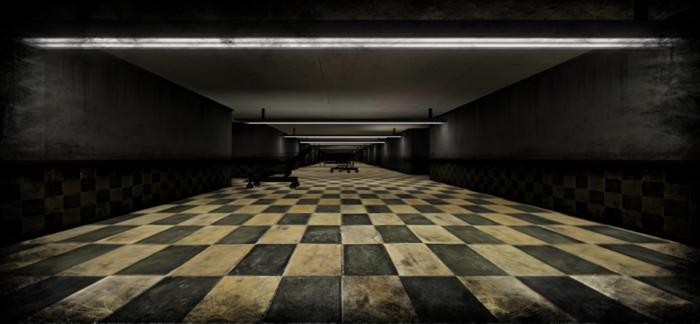 The Backrooms experience