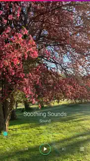 soothing sounds pro plus iphone screenshot 4