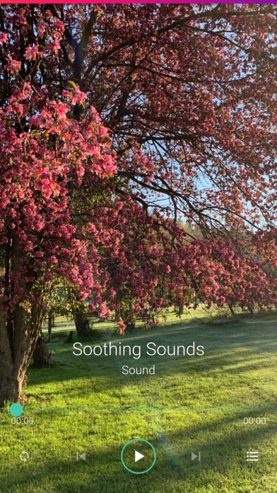Soothing Sounds Pro Plusのおすすめ画像4