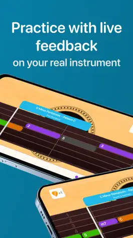 Game screenshot Guitar King - Notes and Scales apk