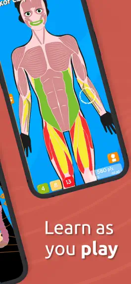 Game screenshot Anatomix - Human Body Game hack