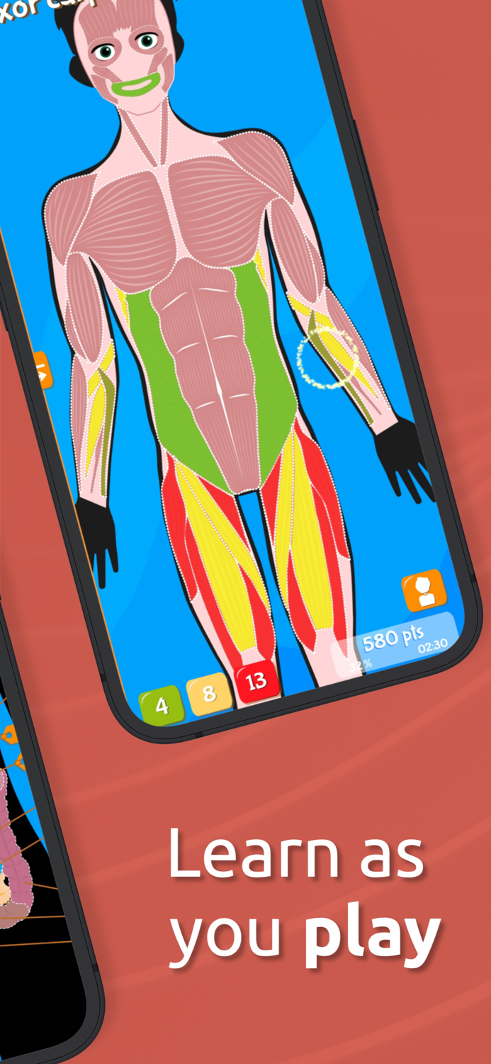 Anatomix - Human Body Game