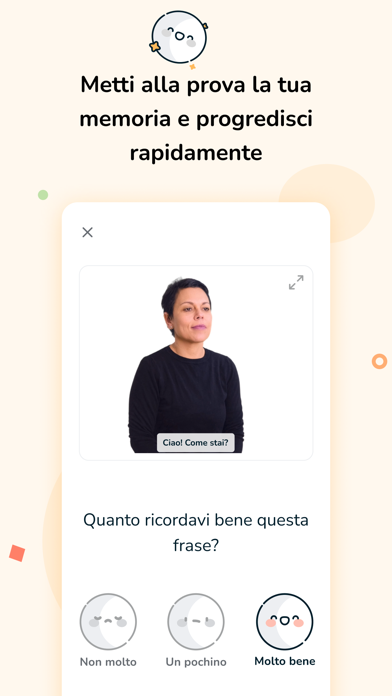 MeLISegno Screenshot