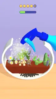 diy mini garden terrarium problems & solutions and troubleshooting guide - 1