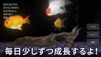 金魚育成アプリ「ポケット金魚」 screenshot1