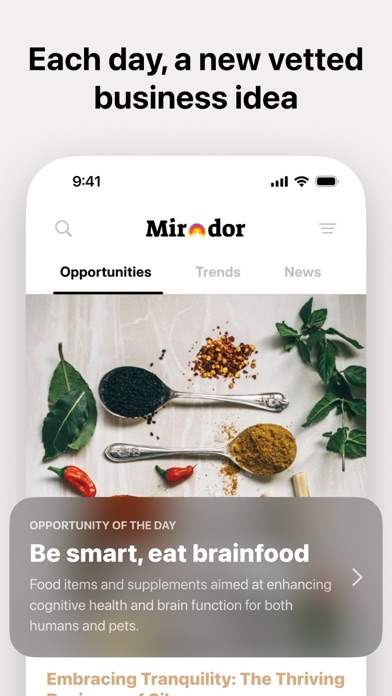 Screenshot #1 pour Mirador · Business Ideas