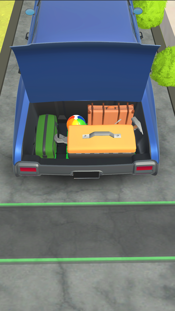 Perfect Fit Luggage Master