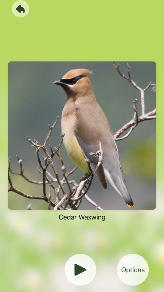 #7. Chirp! Bird Songs Canada (iOS) 由: Spiny Software Ltd