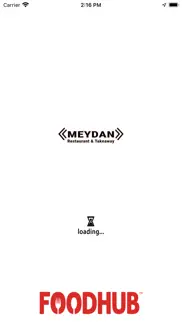 meydan. problems & solutions and troubleshooting guide - 2
