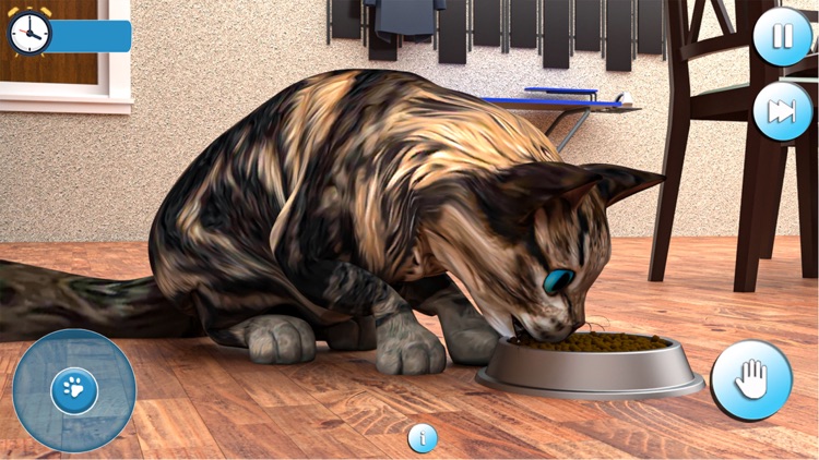 Pregnant Cat & Cute Kitty Game