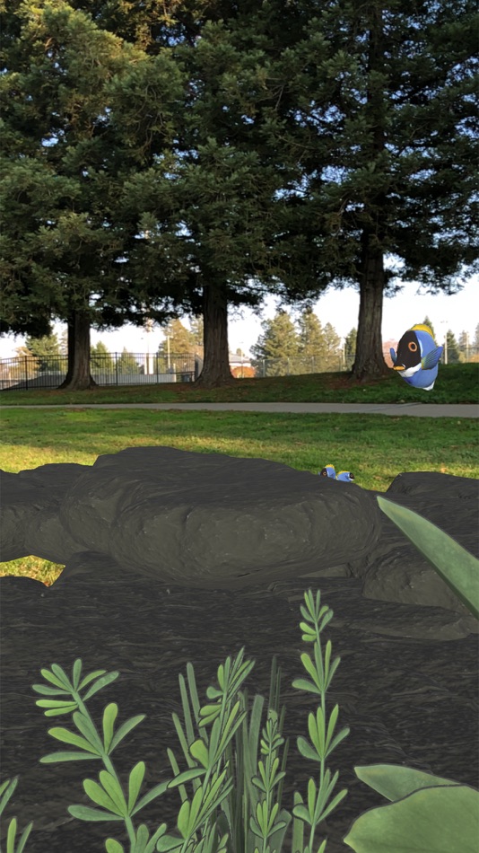 #4. Magic Fish AR (iOS) 由: Near Future Marketing Inc.