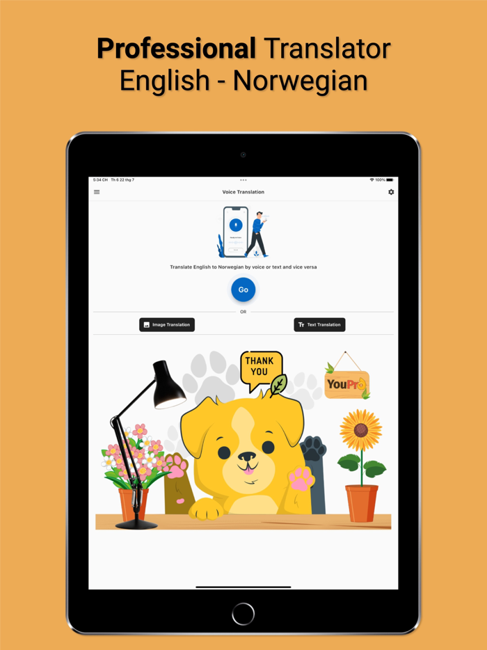 English Norwegian Translator