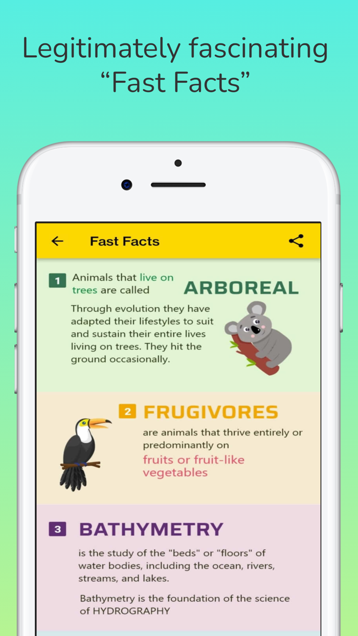 CFE - Children For Environment