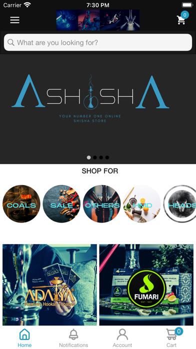 Ashisha Online Screenshot