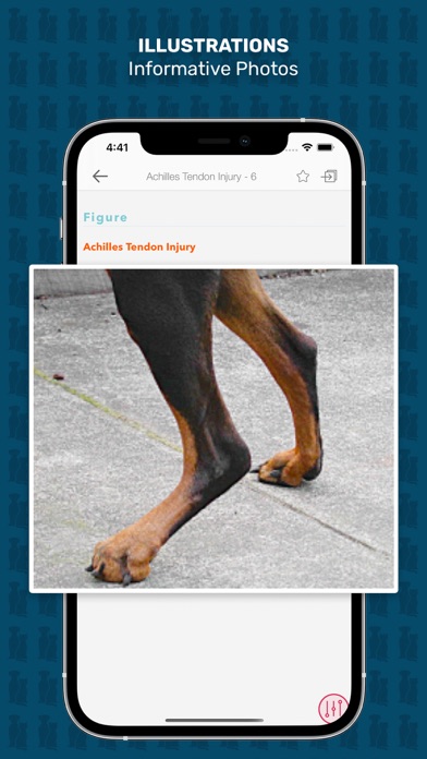 Veterinary Advisor: Dogs Cats Screenshot
