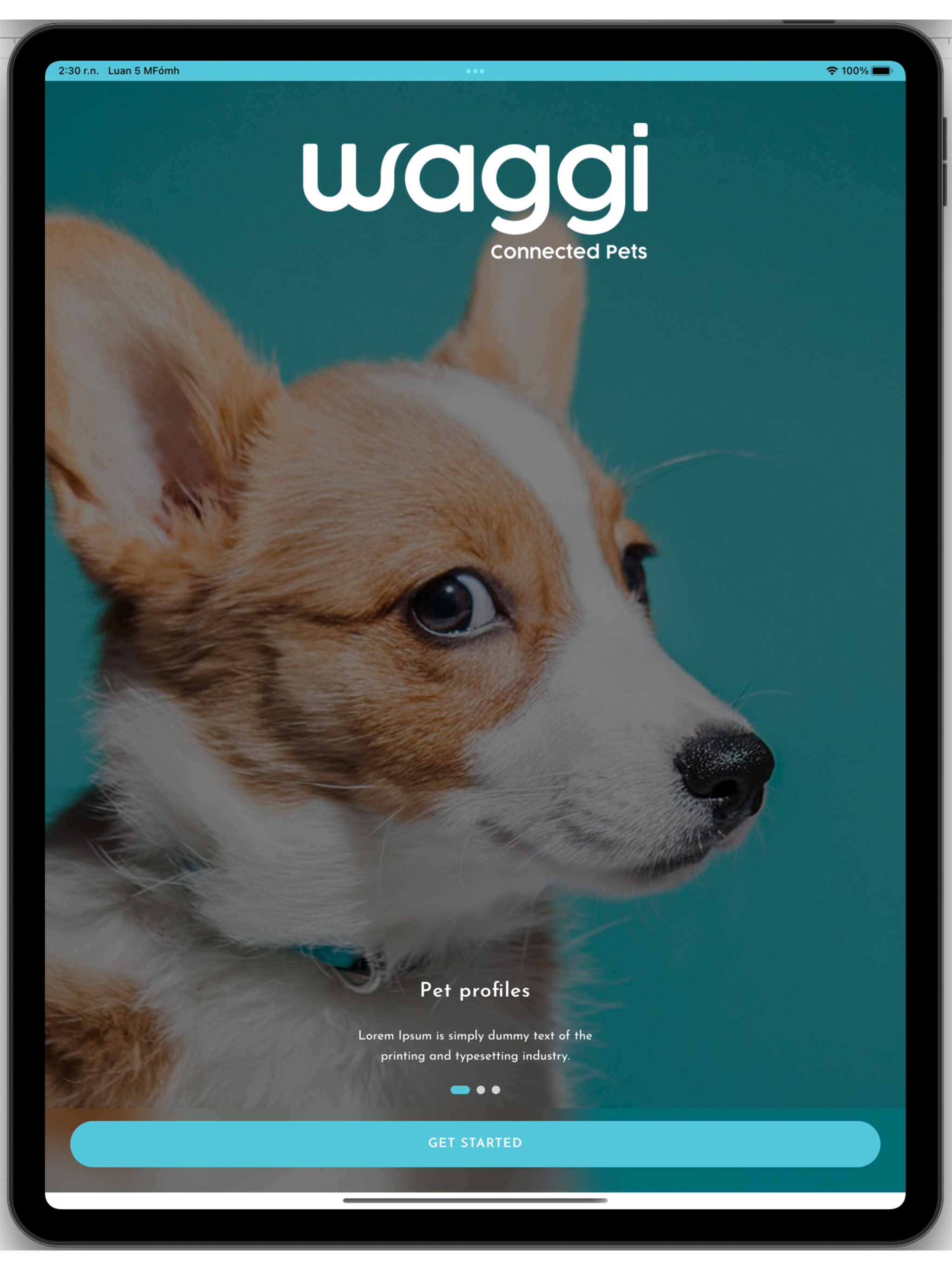 Waggi